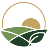 Finca Verdanta